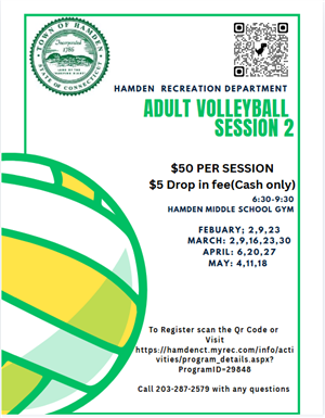 Hamden volleyball
